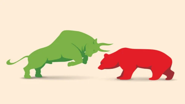 Navigating the Bull or Bear Market: Strategies for Investors